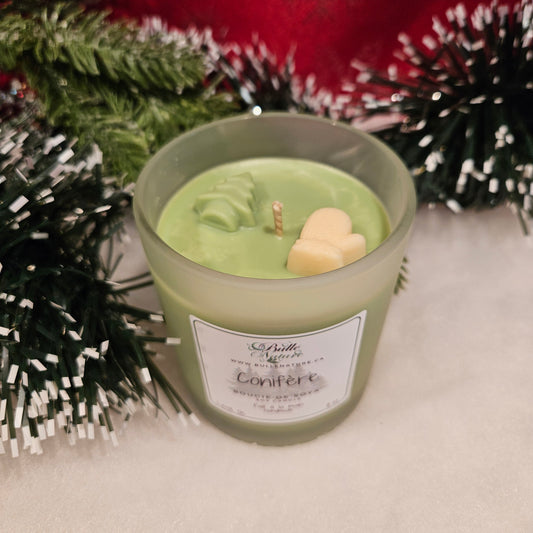 Bougie de soya - Conifère