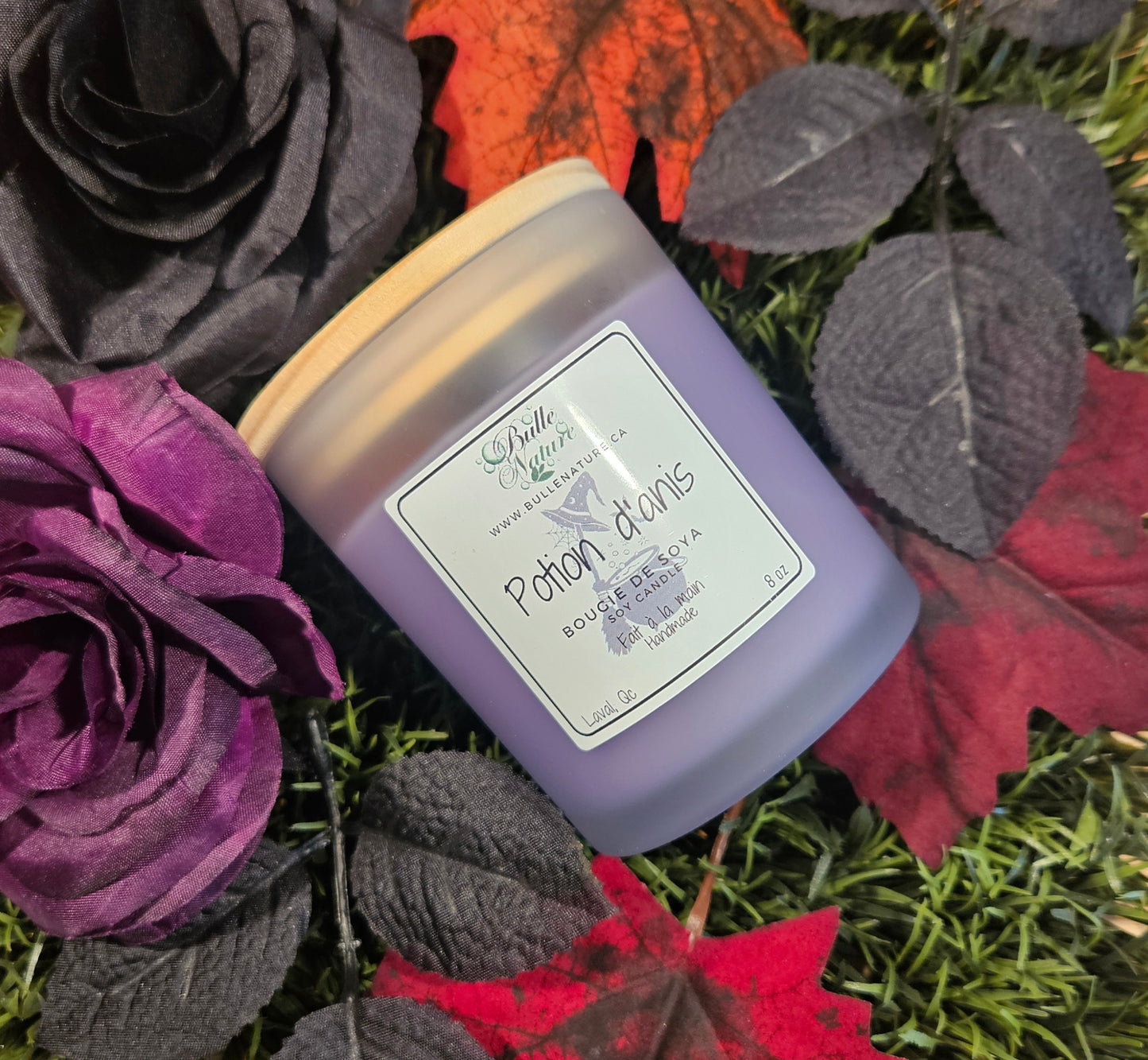 Bougie de soya - Potion d'anis