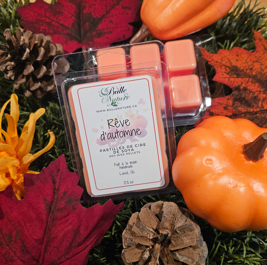 Pastilles de cire - Rêve d'automne